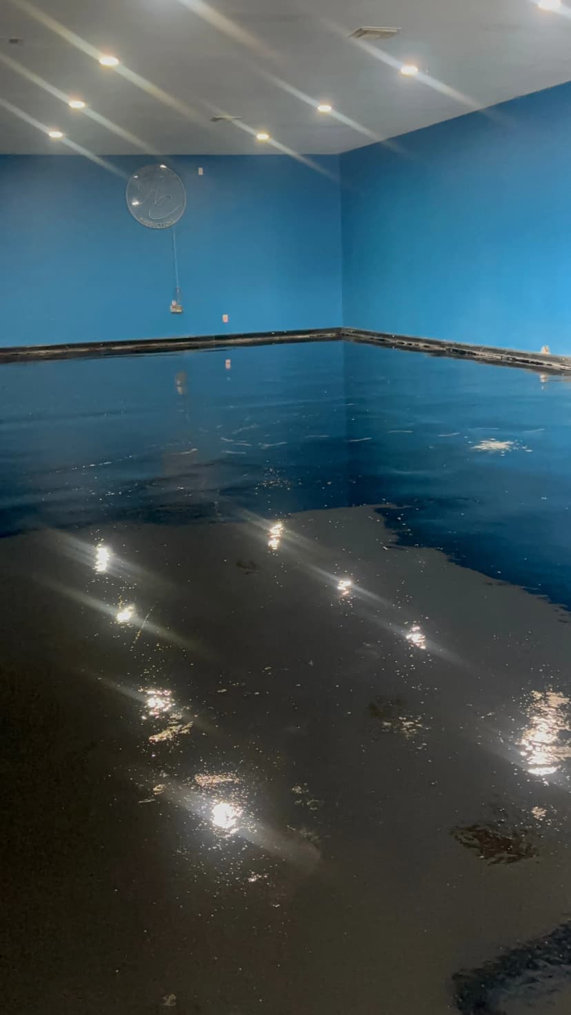 Black-Toned Metallic Epoxy Floor Base